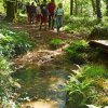 moustoir08