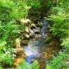 moustoir10