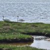 riantec04